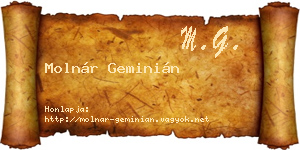 Molnár Geminián névjegykártya